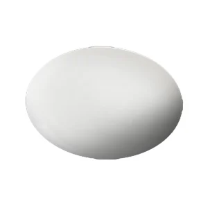 Hot Assiette ovale coupe de 12" x 8.75" - 18 par boite Vaisselle