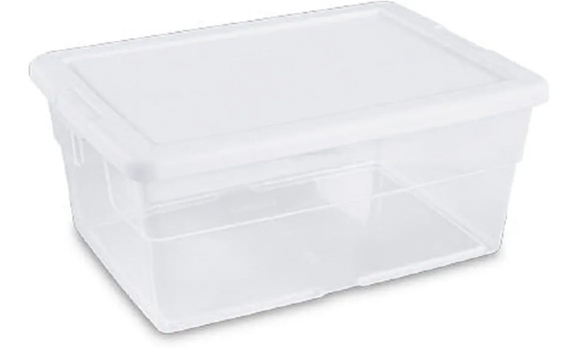 bac_de_rangement_de_l__x__0.webp Fashion Bac de rangement de 15.1L (16.75" x 11 7/8" x 7") - Transparent Rangement Des Aliments