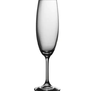 New Flûte à champagne de 8 oz Serene - 6 par boite Verrerie