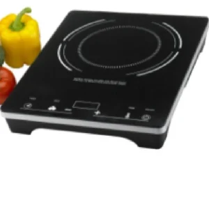 New Plaque à induction de 120V - Usage résidentiel Équipements De Cuisson